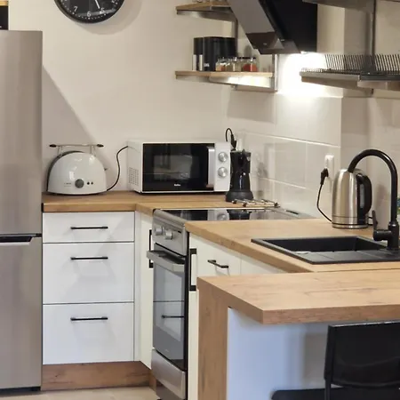 Apartment Loft Wolczanska Lodz