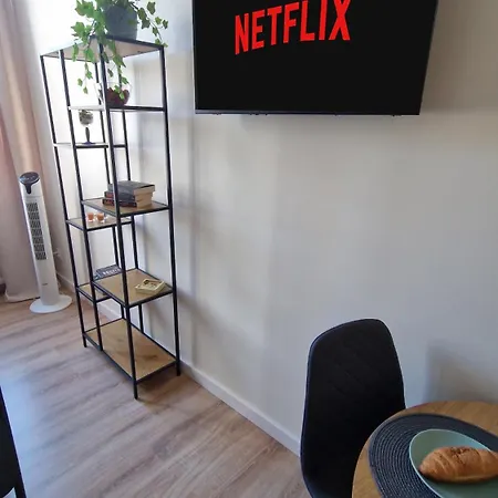 Apartment Loft Wolczanska
