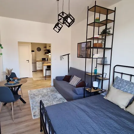 Loft Wolczanska * Lodz
