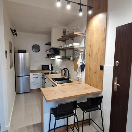 Loft Wolczanska Apartment Lodz